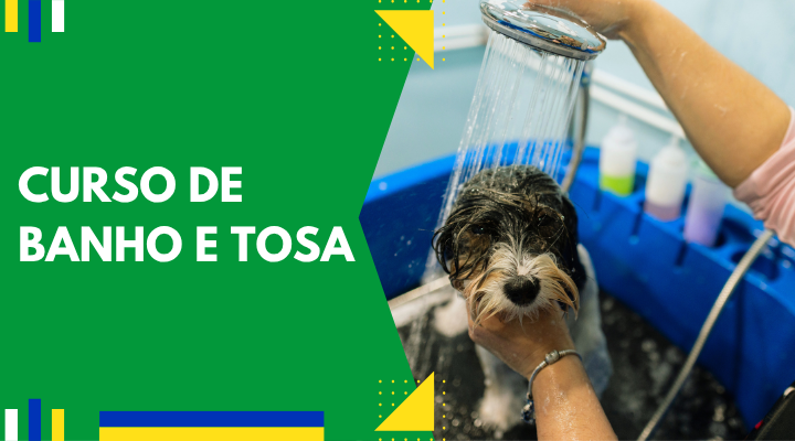 Curso de Banho e Tosa